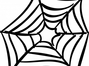 Spider Web PNG Free Image