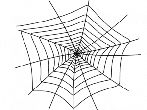 Spider Web PNG Image