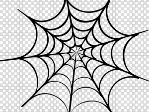 Spider Web PNG Image HD