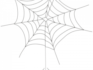 Spider Web PNG Images