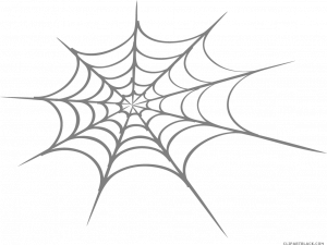 Spider Web PNG Photos