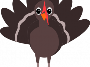 Turkey Background PNG