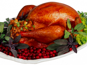 Turkey PNG