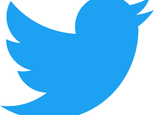 Tweet Logo