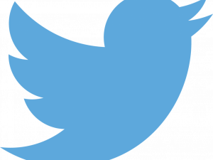 Tweet Logo No Background