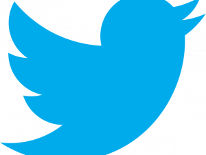 Tweet Logo PNG