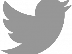 Tweet Logo PNG Cutout