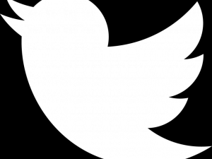 Tweet Logo PNG File