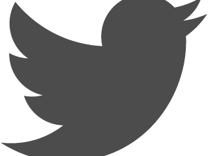 Twitter Logo PNG