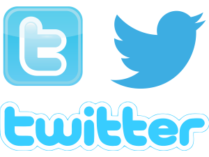 Twitter Logo, social icon, bird graphic PNG