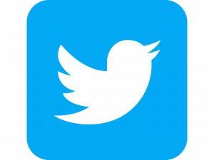 Twitter Logo, blue bird, social platform PNG