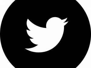 Twitter logo, social media icon, bird symbol, networking platform, Twitter Logo PNG