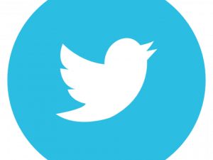 twitter logo png, social media icon, bird symbol, online networking