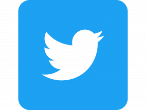 Twitter logo, social media icon, microblogging platform, bird symbol, Twitter Logo PNG