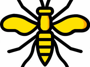 Wasp Bee PNG Photo