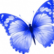 Blue Butterfly PNG File