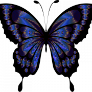 Blue Butterfly PNG Free Image