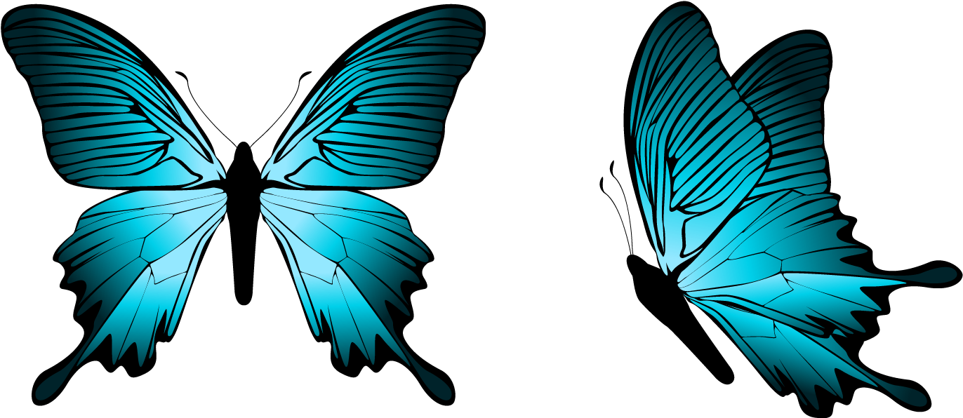 Blue Butterfly PNG Image File - PNG All | PNG All