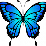 Blue Butterfly PNG Photos