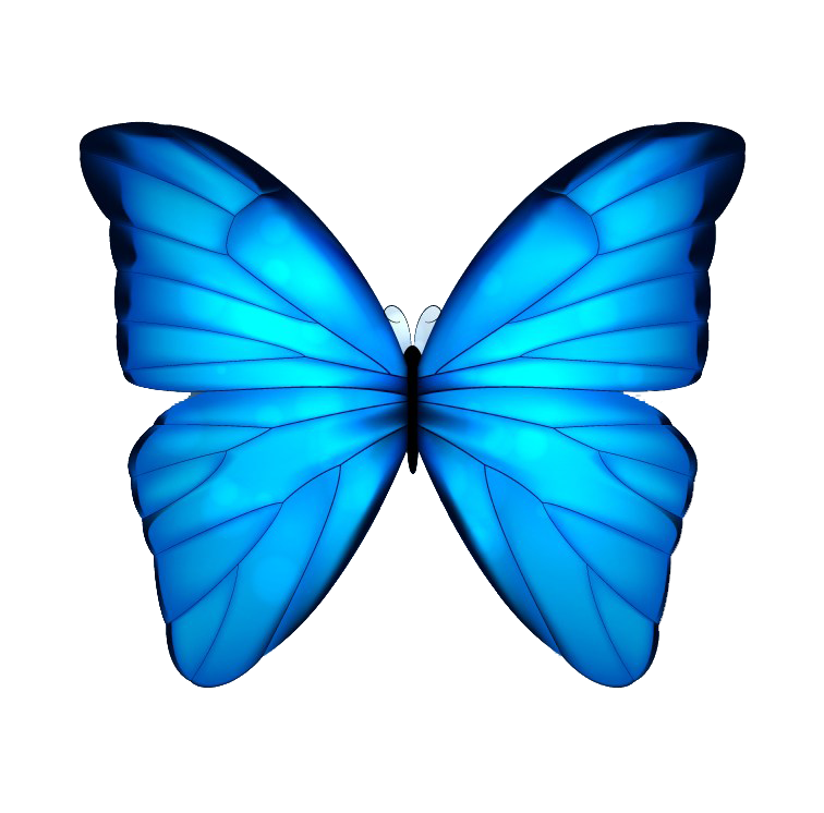 Blue Butterfly PNG Transparent Images - PNG All