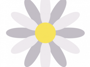 Daisy PNG Image