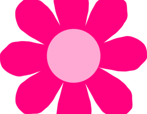 Daisy PNG Photos