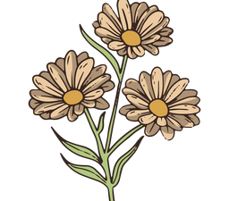 Daisy PNG Picture