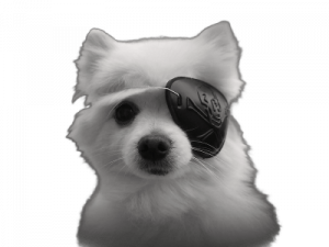 Doggo PNG HD Image