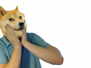 Doggo PNG Image HD