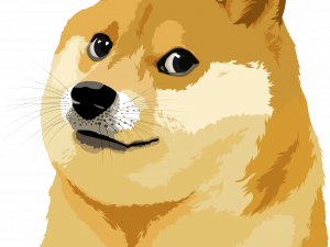 Doggo PNG Images HD