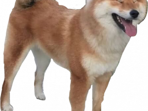 Doggo PNG Pic