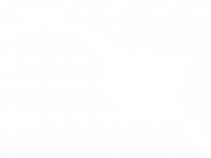 Eye Patch PNG