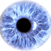 Eyeball PNG Free Image