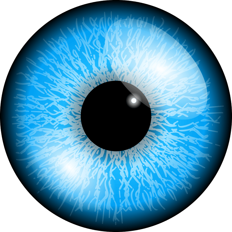 Eyeball PNG Image File