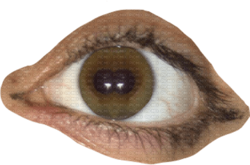 Eyeball PNG Image