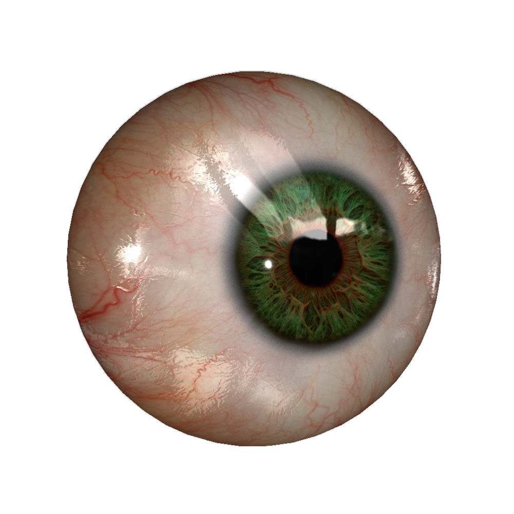 Eyeball PNG Pic