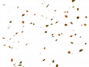 Fall Leaf PNG File