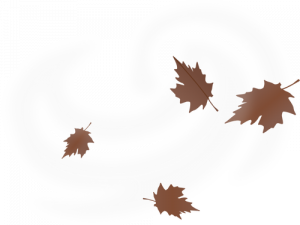 Fall Leaf PNG Image HD