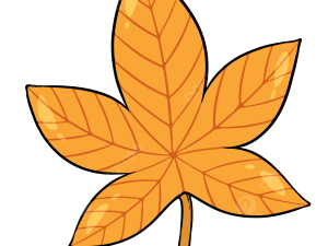 Fall Leaf PNG Images HD