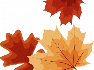 Fall Leaf PNG Photos