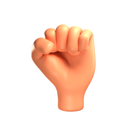 back of fist png
