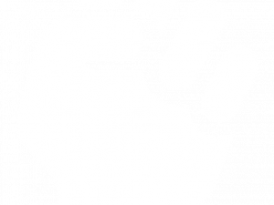 Fist PNG Picture