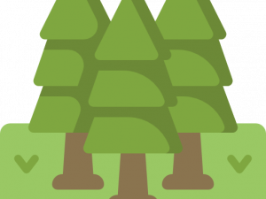 Forestry