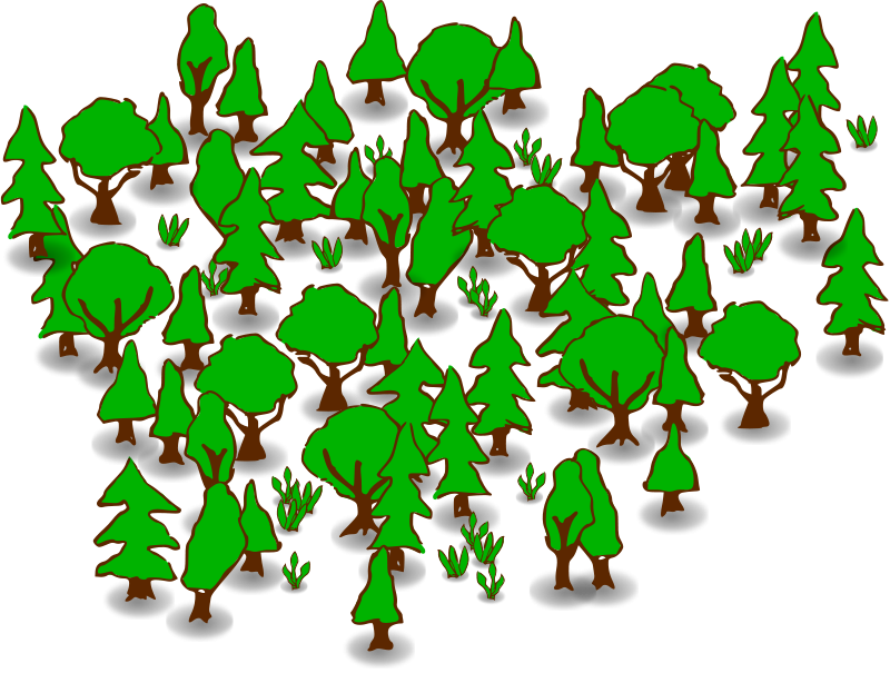 Forestry PNG Cutout