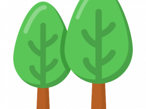 Forestry PNG Image