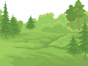 Forestry PNG Image HD