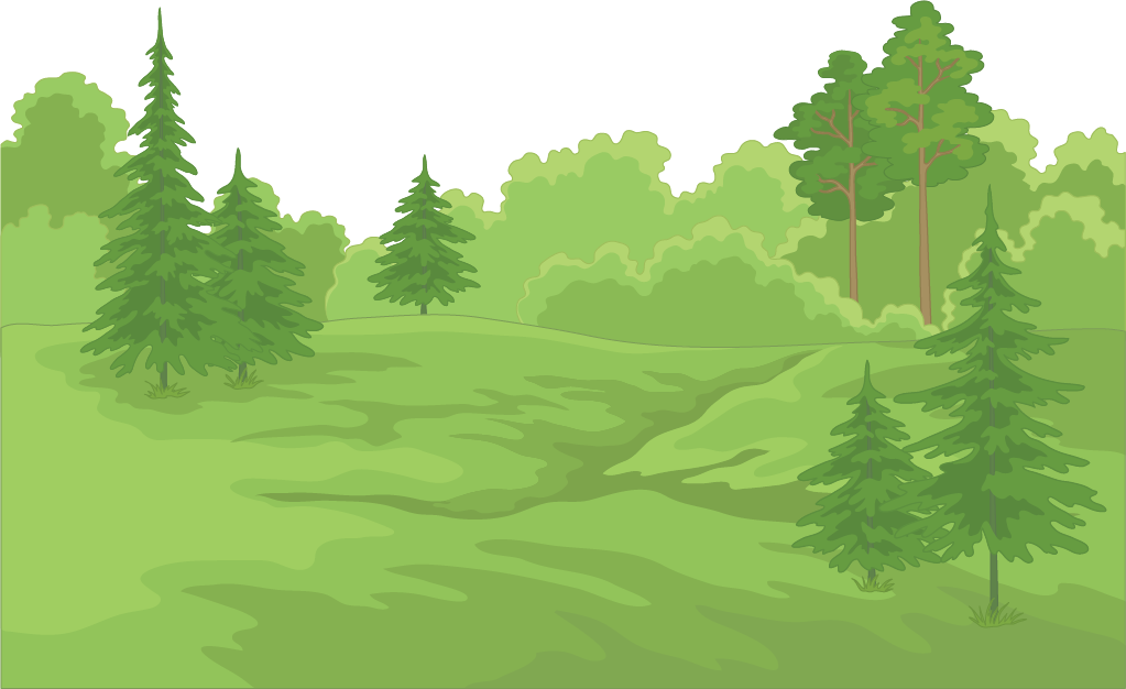 Forestry PNG Image HD