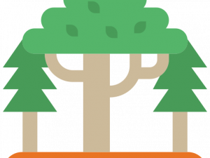 Forestry PNG Pic