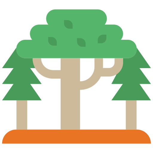 Forestry PNG Pic