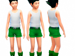 Gon Background PNG